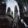 Ice on the Sheltowee Trace